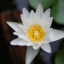 TOKINA SD 28-70MM.F3.5-4.5 MACRO PK MOUNT