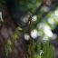 TAMRON ZOOM 85-210MM.F4.5 BBAR MULTI C. NIKON MOUNT