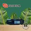 FUJI CARDIA HITE DATE FUJINON LENS 35MM.F2.8