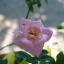 EXAKTAR 35-70MM. F3.5-4.8 MC MACRO MD Mount