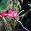 MEOPTA MEOSTIGMAT 35MM.F1.3 MODIFIED SONY E MOUNT