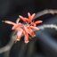 SUN ZOOM MACRO 38-90MM.F3.5 MULTI COATED PK MOUNT