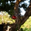 RMC TOKINA 35-105MM.F3.5-4.3 CLOSE FOCUS FD MOUNT