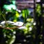 PENTAX-110 24MM.F2.8 MODIFIED M39 MOUNT