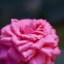 SIGMA ZOOM 28-80MM. F3.5-5.6 MACRO SA(PK) MOUNT