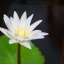 SIGMA ZOOM 100-300MM. F4.5-6.7DL SONY A MOUNT