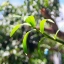 PENTAX-F-ZOOM 28-80MM.F3.5-4.5 MACRO
