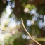 TOKINA AF 28-80MM.F3.6-5.6 MACRO SONY A MOUNT