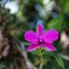 NIKON EL-NIKKOR 50MM.F4 MODIFIED SONY E MOUNT
