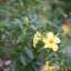 SUPER MULTI COATD TAKUMAR 135MM.F2.5 M42 MOUNT