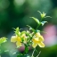 VIVITAR 75-205MM.F3.8 MACRO FOCUSING ZOOM FD MOUNT
