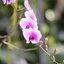 SUPER-TAKUMAR 135MM.F3.5 M42 MOUNT