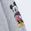 เสื้อ สเวตเตอร์ มิคกี้ สีเทา Sweatshirt Disney เสื้อMICKEY christmas Minnie สีขาว Winnie the pooh แขนยาว สีครีม ลายการ์ตูน DISNEYงานสวย มากคะ TRUST IN YOURSELF AND BELIEVE IN YOUR DREAM สำเนา สำเนา สำเนา สำเนา แดง