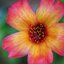 NIKON MICRO-NIKKOR 105MM.F2.8 AIS MOUNT