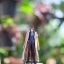 NIKKOR -S Auto 50MM.F1.4 NON Ai MOUNT