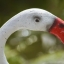 SIGMA ZOOM 100-300MM. F4.5-6.7UC SONY A MOUNT