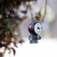 PENTACON AUTO 50MM.F1.8 MULTI COATING M42 MOUNT