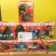 Dragon ball Ultimate Edition (Big Book) 1-34 จบ
