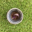 CANON LENS FD 50MM. F1.4 SILVER NOSE FD MOUNT