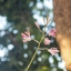 AF NIKKOR 35-70MM.F2.8D NIKON AIS MOUNT