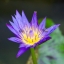 SIGMA ZOOM 100-300MM. F4.5-6.7DL SONY A MOUNT