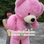 ตุ๊กตาหมีตัวใหญ่ 1.8 เมตร ไซส์หัวโต ขนนิ่ม สีชมพู หวาน (คุณภาพ เกรดขึ้นห้าง)