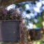 YASHICA COLOR YASHINON DX 40MM.F1.7 MODIFLY E MOUNT
