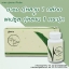 ชาชงภู่หลาน+แบบแคปซูล 1 ชุด (30ซอง /60 แคปซูล)