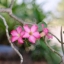 FUJINON 55MM.F2.2