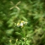 16KP-35MM.F1.2 MODIFLY SONY E MOUNT