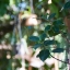 VIVITAR 28-70MM.F3.5-4.8 AUTO FOCUS ZOOM MACRO MD MOUNT