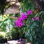 OLYMPUS F.ZUIKO 32MM.F1.7 MODIFIED SONY E MOUNT