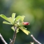 TEFNON H/D-MC ZOOM 70-210MM.F3.5 MACRO FD MOUNT