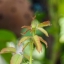 CARL ZEISS JENA TESSAR 50MM.F2.8 Q1 M42 MOUNT