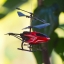 COSINA AUTO FOCUS LENS 75-200MM.F4.5 MC MACRO OM MOUNT