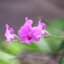 TEFNON H/D-MC ZOOM 75-300MM.F4.5-5.6 MACRO M42 MOUNT