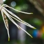 AF NIKKOR 35-70MM.F3.3-4.5 MACRO NIKON AIS MOUNT