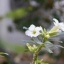NIKON ZOOM 70-210MM.F4 NIKON LENS SERIES E