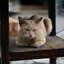 NIKON NIKKOR 50MM.F1.4 AI MOUNT