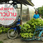 กล้วยทอด รสปาปริก้า (230g.)