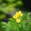 SUPER MULTI COATED TAKUMAR 120MM.F2.8 M42 MOUNT