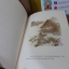 บารมีพระแม่ป้อง ปกพื้นธรณิน (ฺปกแข็ง + Box Set) / แก้วเก้า