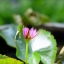 NIKKOR -S Auto 50MM.F1.4 NON Ai MOUNT