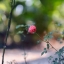 HELIOS -44M 58MM.F2