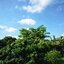 SIGMA LENS 10-20mm F4-5.6 EX DC HSM NIKON AIS MOUNT