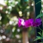 RMC TOKINA 35-105MM.F3.5-4.3 CLOSE FOCUS FD MOUNT