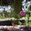 MINOLTA MC.W.ROKKOR 28MM.F3.5 MD MOUNT