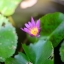 NIKKOR -S Auto 50MM.F1.4 NON Ai MOUNT