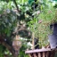 NIKON LENS SERIES E ZOOM 36-72MM.F3.5 AIS MOUNT