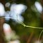 SUPER TAKUMAR 55MM.F1.8 M42 MOUNT